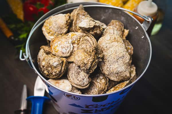 Bucket Roasted Oysters