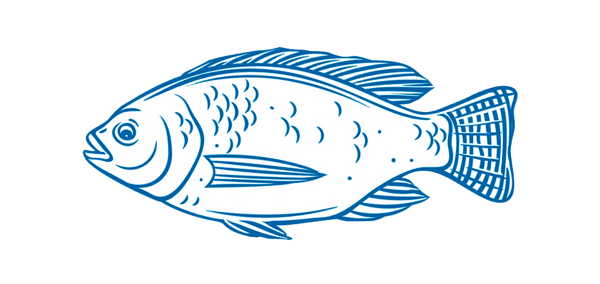 blue fish
