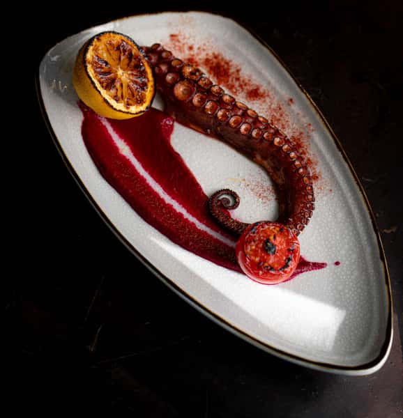 Grilled Octopus  