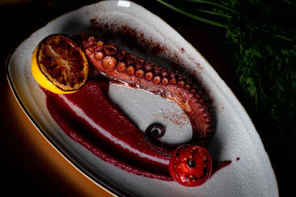 Grilled Octopus  