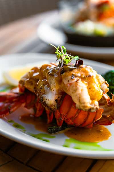 Maine Lobster Tail