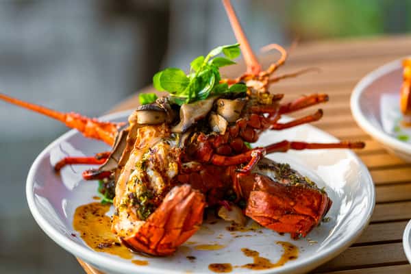 Local Hand-Caught | Spiny Lobster