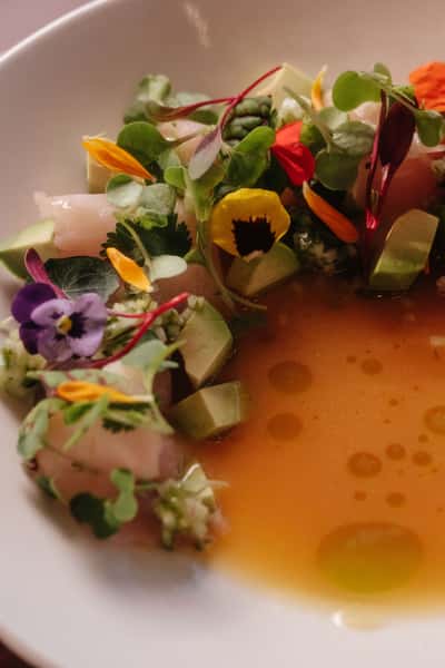 Crudo