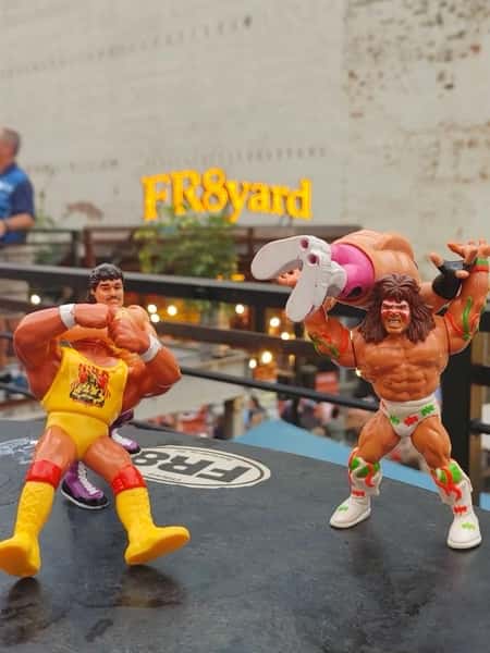 wrestling toys