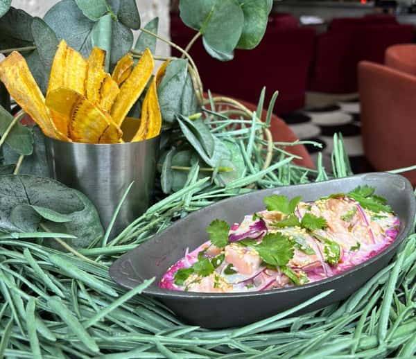 Salmon Tiradito