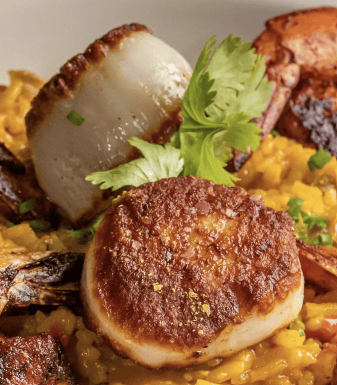 Scallops (10)