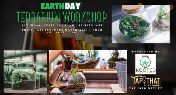 Terrarium 4-19-25