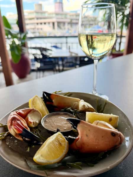 Florida Stone Crab Claw