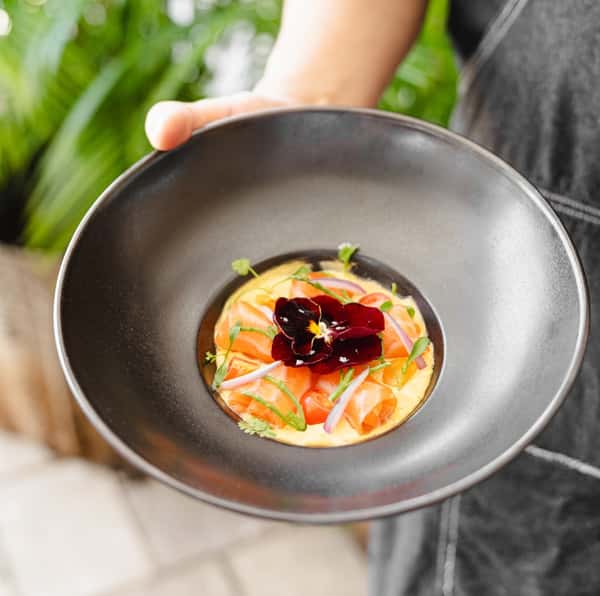 Salmon Tiradito