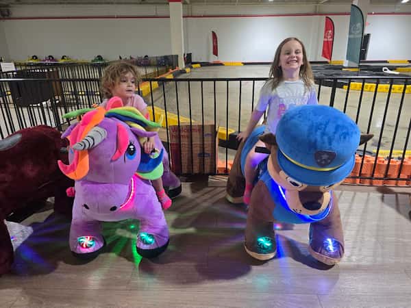 Animal Rides