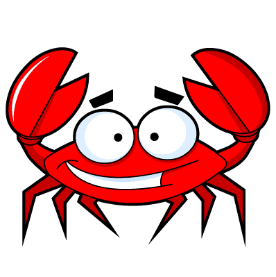 fav icon