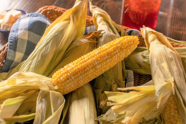 Sweet Corn