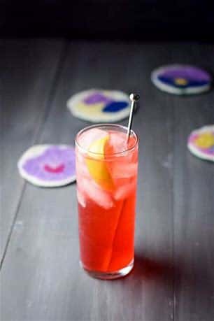 Sloe Gin Fizz
