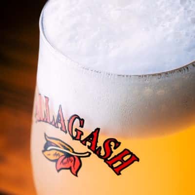Allagash White