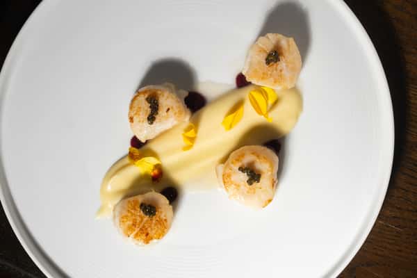 Scallops
