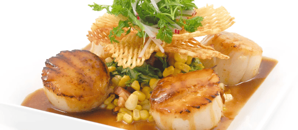 Scallops