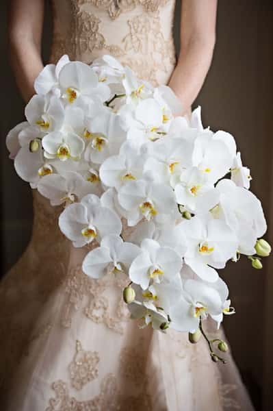 Bride holding a bouquet of white flowers