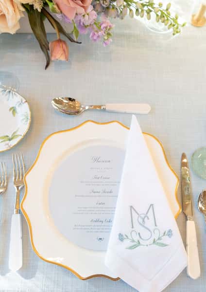 Plate setting with a napkin