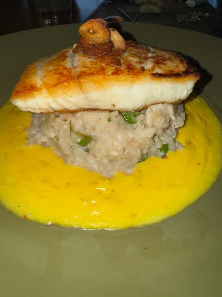 Halibut
