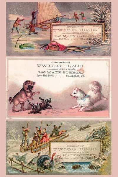 an old advertisement for twiggs, featuring illustrations of various dogs