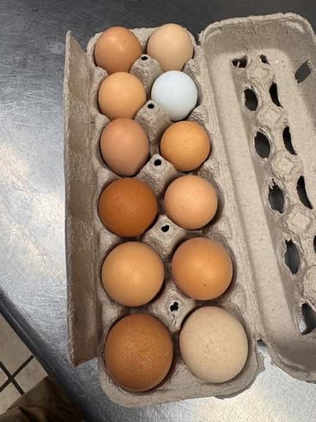 Farm Fresh Eggs
