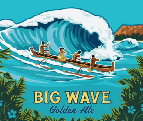 Kona Big Wave 25oz