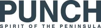 Punch logo