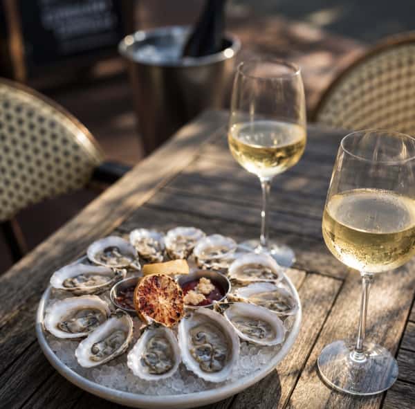 oysters