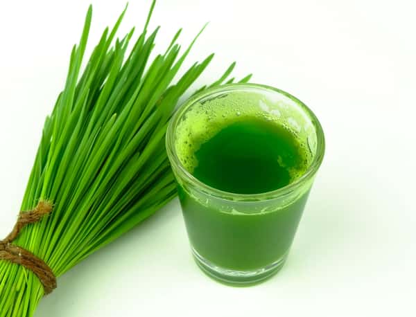 1oz Wheatgrass