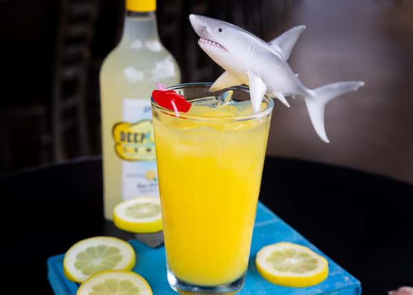 Shark Lover