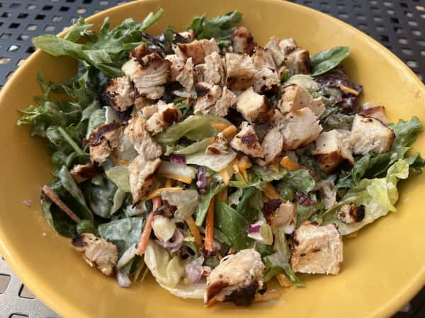 Grilled Layered Chicken Salad