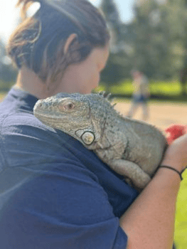 Reggie at Safari Park