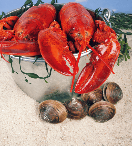 CLAMBAKE WEEK 4