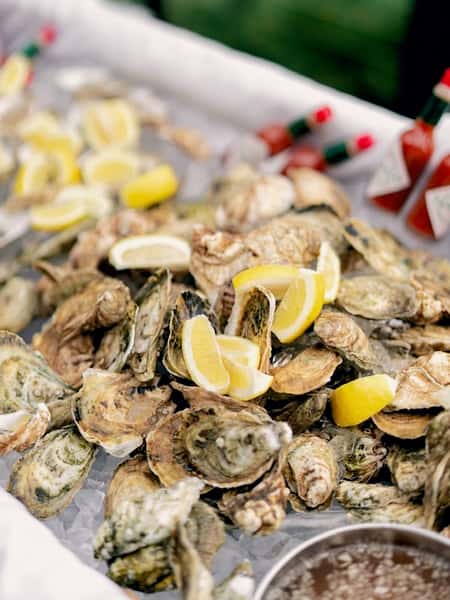 oysters