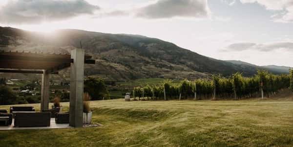 Pinot Noir - Bench 1775