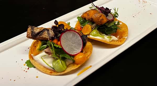 Arctic Char Tostada