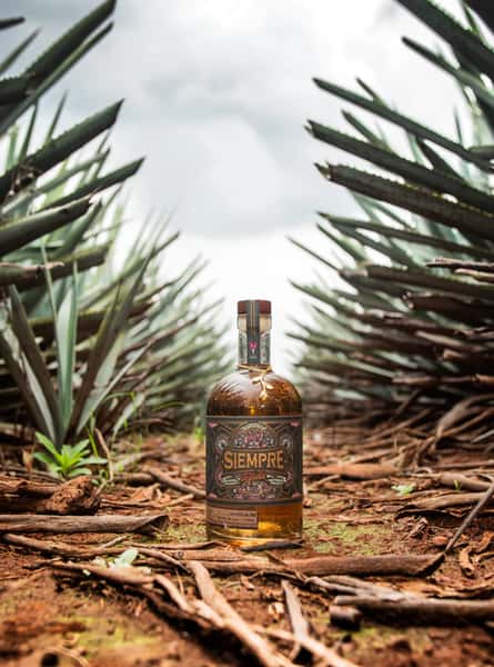 Siempre Anejo