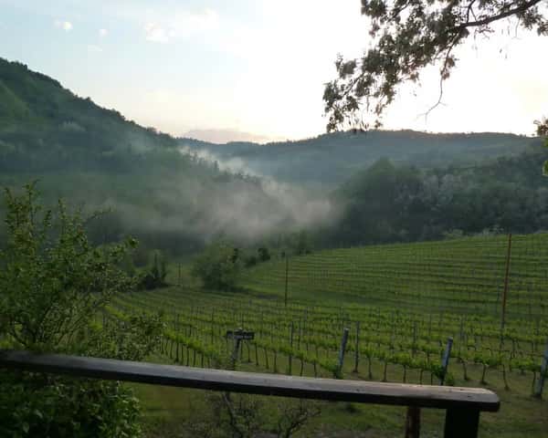 Galassi Sangiovese