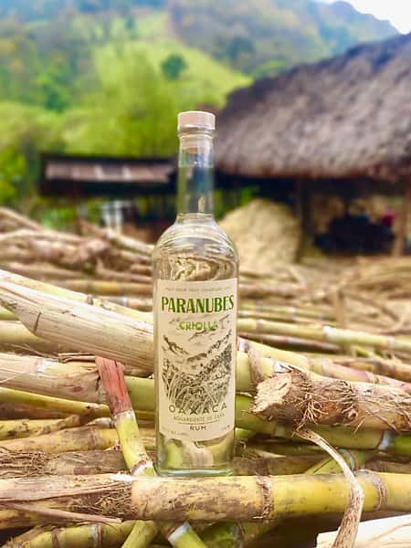 Paranubes Caña Criolla Single Varietal