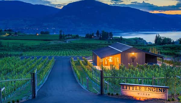 Little Engine 2022 Pinot Noir