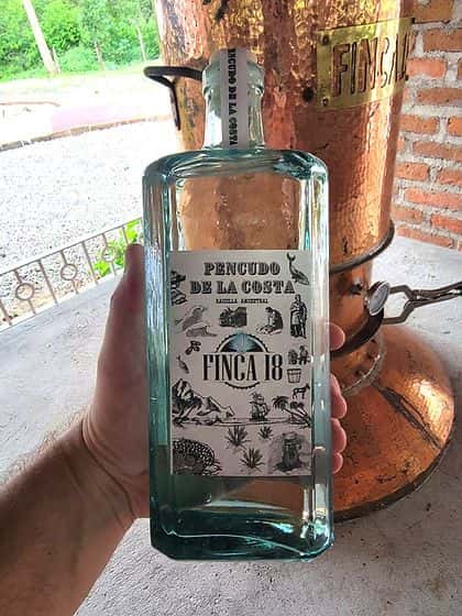 Pencudo De La Costa Raicilla Finca 18