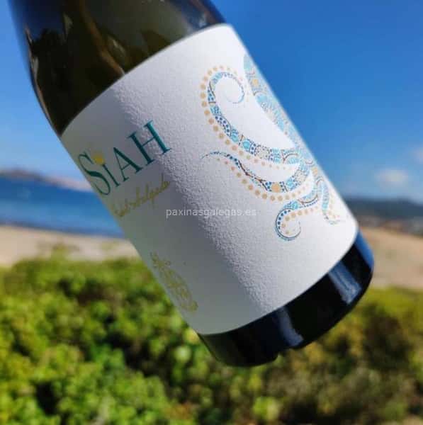 Albarino - Bodegas Siah