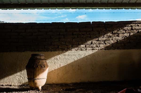 Octagono Vino Ancestral Blanco