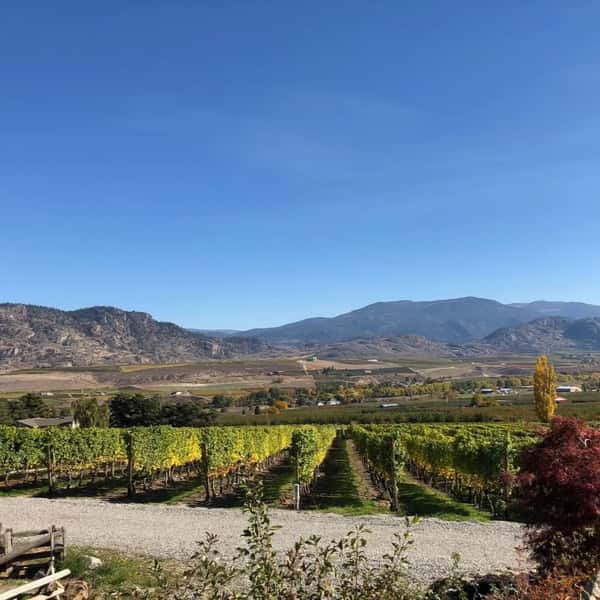 Rust ~ 2022 Syrah