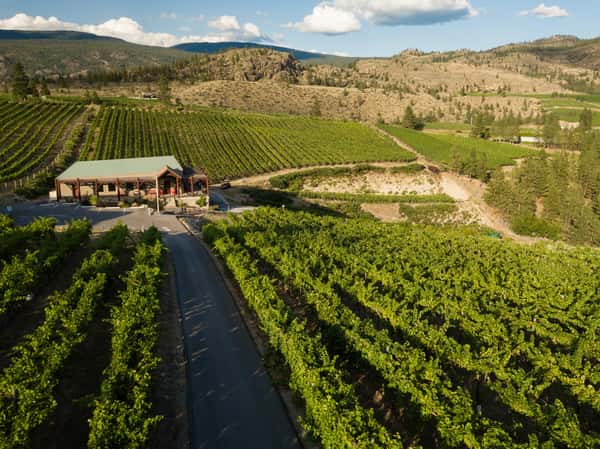 The Stag's Hollow Albariño