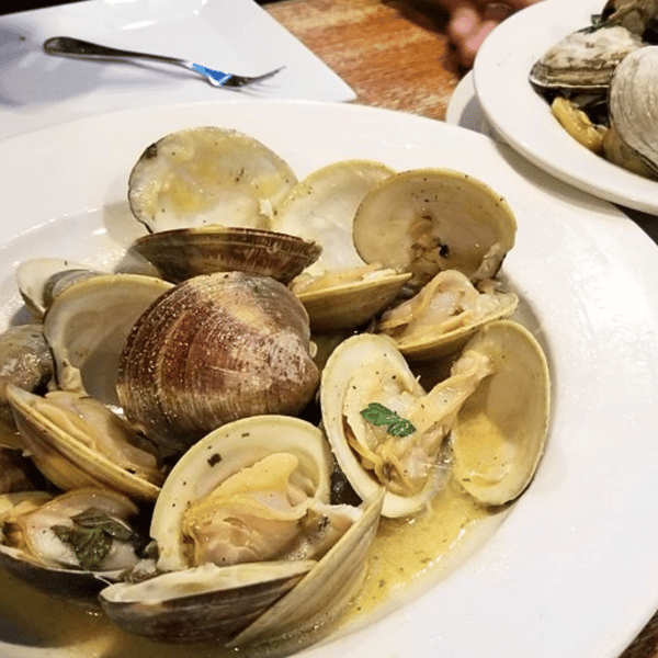Clams
