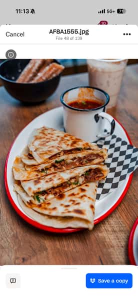 BIRRIA QUESADILLA