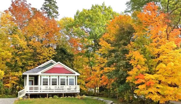 Pine Cone Cottage