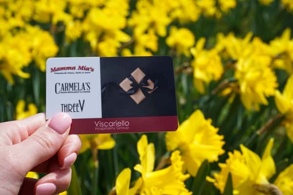 Daffodil Gift Card