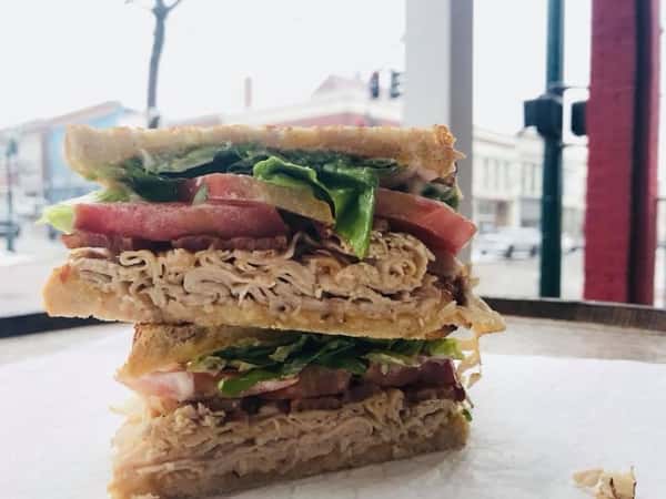 Lynne's Sammy